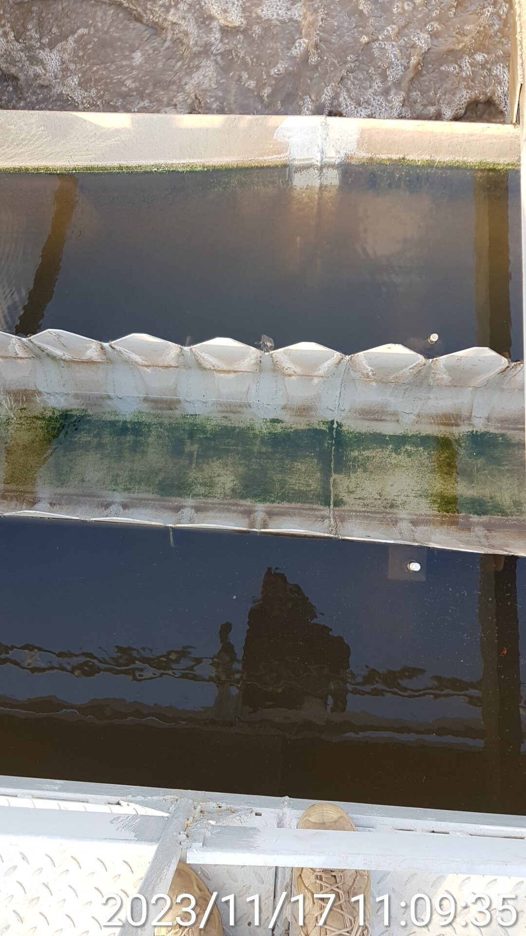 Резкое снижение мутности воды в отстойнике после формирования хорошо оседаемых хлопков активного ила