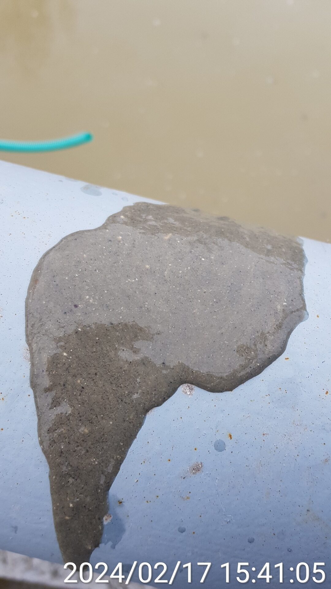 Визуальное изучение осадка из первичного отстойника (эффективность работы систем откачки осадка и начальных звеньев очистки)