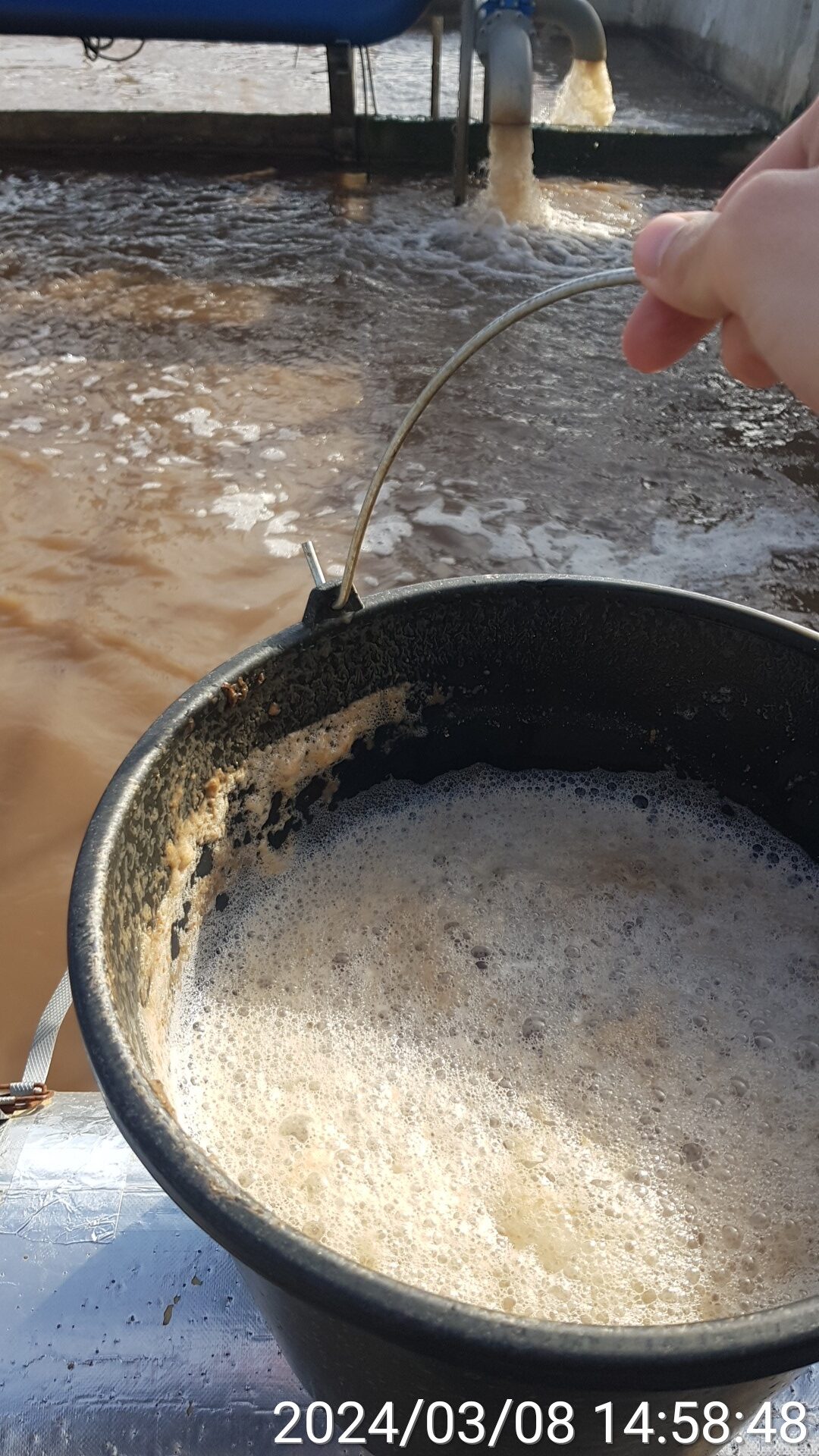 Мутагенная обработка активного ила