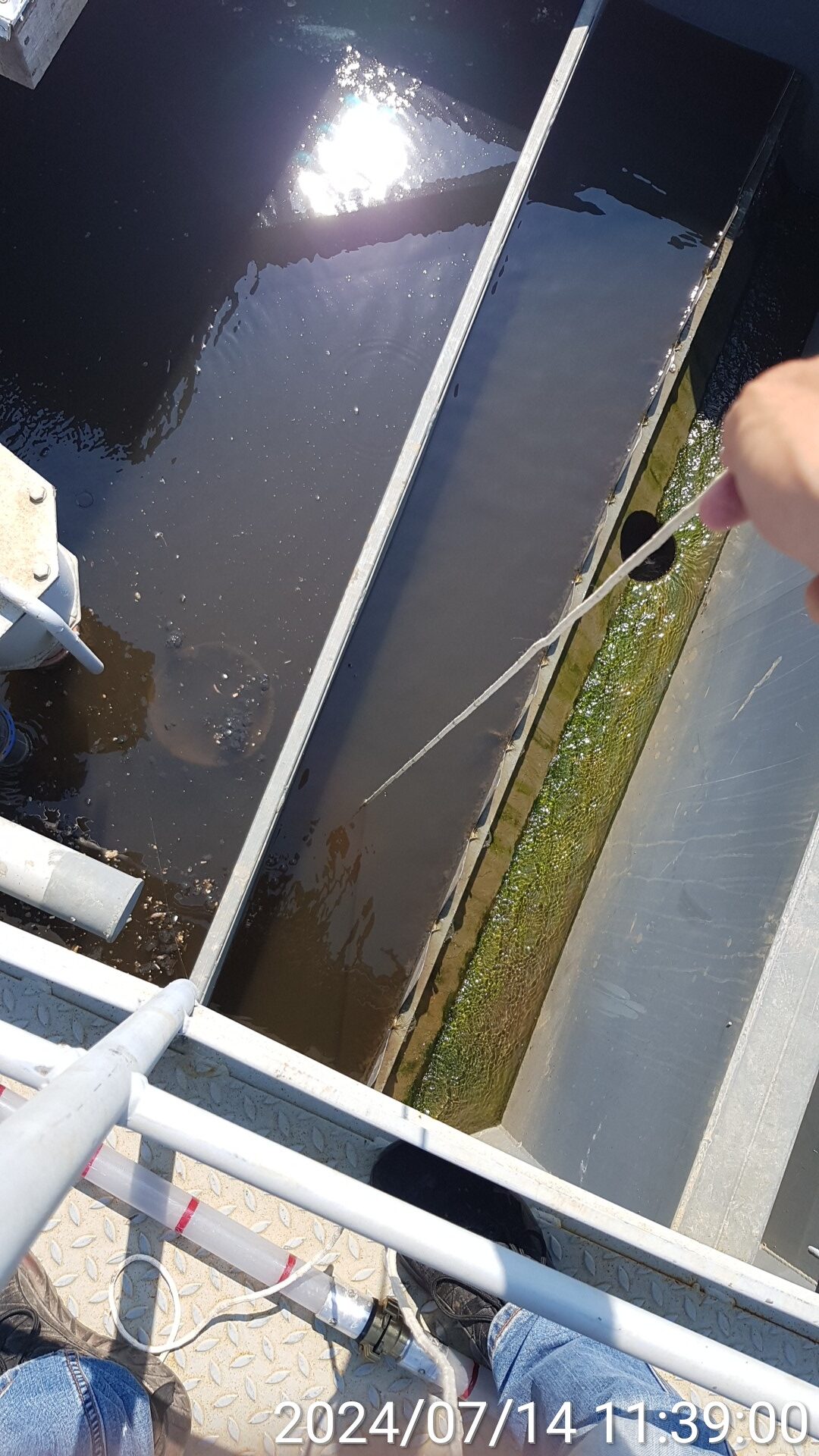 Измерение прозрачности воды во вторичном отстойнике (по диску Секки)